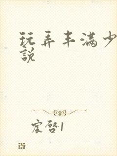 玩弄丰满少妇小说封面