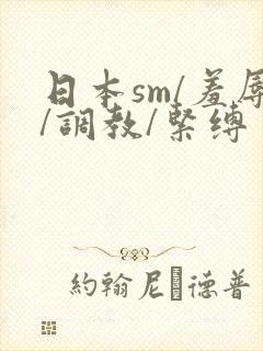 日本sm/羞辱/调教/紧缚