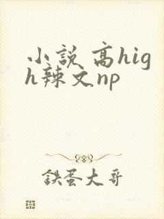 小说 高high辣文np
