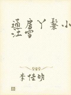 通房丫鬟小说寒江雪