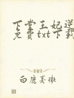 下堂王妃逆袭记免费txt下载封面