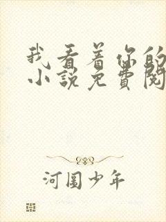 我看着你的时候小说免费阅读封面