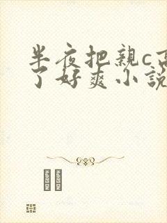 半夜把亲c高潮了好爽小说