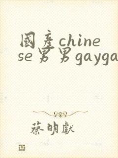 国产chinese男男gaygay在线播放网站封面