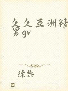 久久亚洲精品男男gv