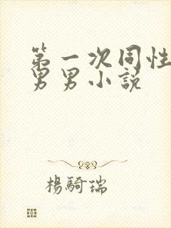 第一次同性做爰男男小说封面