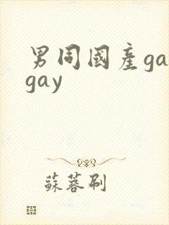 男同国产gaygay