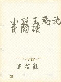 小说王飞沈姨免费阅读