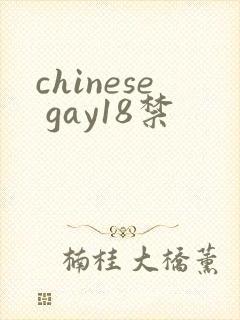 chinese gay18禁