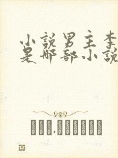 小说男主李伟杰是哪部小说封面