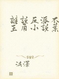 谁说反派不能当主角小说叶玄