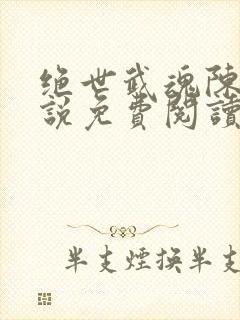 绝世武魂陈枫小说免费阅读