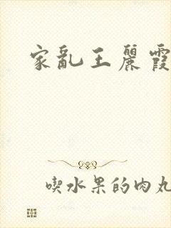 家乱王丽霞封面
