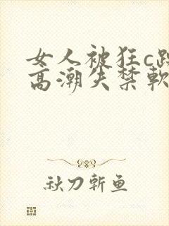 女人被狂c躁到高潮失禁软件