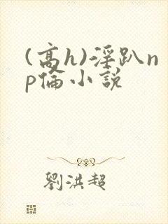 (高h)淫趴np伦小说