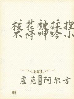 校花被揉捏两乳不停呻吟小说