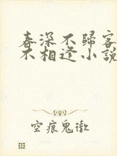 春深不归客清梦不相逢小说免费封面