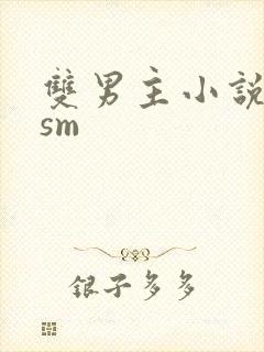 双男主小说调教sm