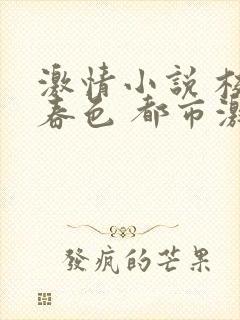 激情小说 校园春色 都市激情