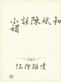 小说陈斌和赵心媚