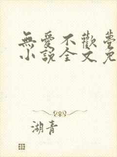 无爱不欢梦筱二小说全文免费阅读封面