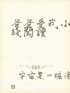 爸爸爱我小说在线阅读封面
