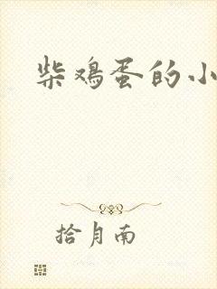 柴鸡蛋的小说