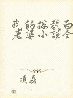 我的总裁白富美老婆小说全文在线阅读