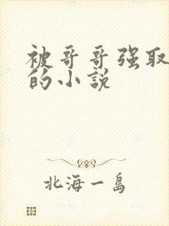 被哥哥强取豪夺的小说