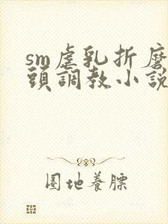 sm虐乳折磨奶头调教小说封面