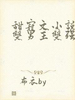 甜宠文小说推荐双男主双强封面