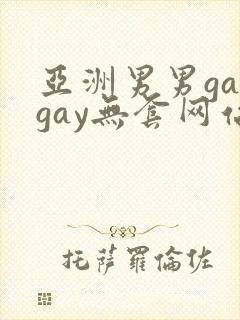 亚洲男男gaygay无套网站