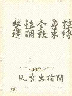 双性全身控制改造调教束缚小说封面