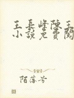 王长峰陈玉娆的小说免费阅读无弹窗