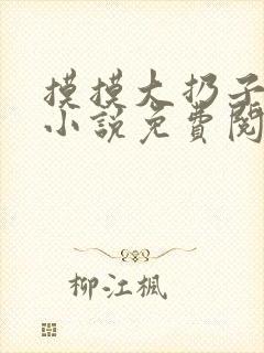 摸摸大扔子原著小说免费阅读封面