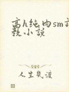 高h纯肉sm调教小说封面