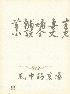 首辅娇妻有空间小说全文免费阅读全文