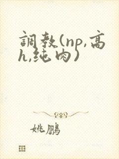 调教(np,高h,纯肉)