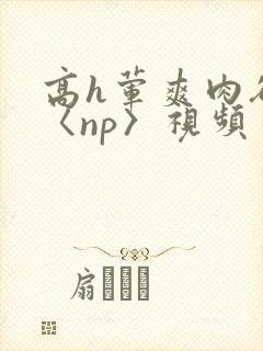 高h荤爽肉欲文〈np〉视频