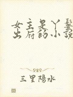 女主是丫鬟赎身出府的小说封面