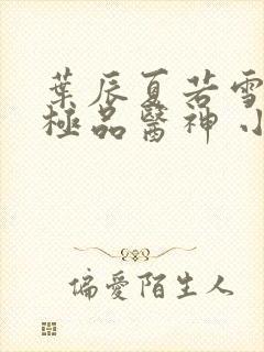 叶辰夏若雪都市极品医神 小说