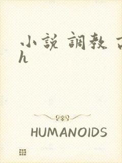 小说 调教 高h