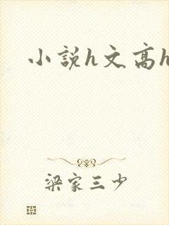 小说h文高h