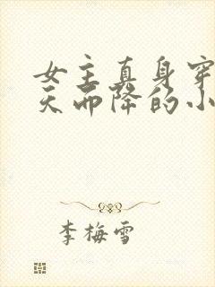 女主真身穿越从天而降的小说