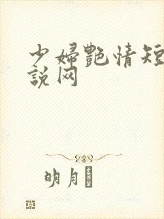 少妇艳情短篇小说网
