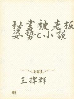 秘书被老板各种姿势c小说