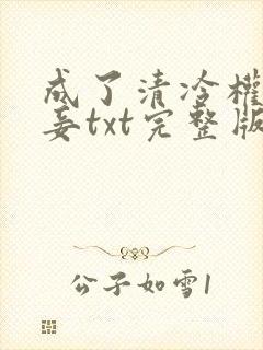 成了清冷权贵侍妾txt完整版封面