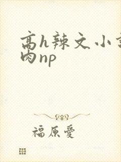 高h辣文小说纯肉np