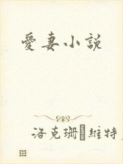 爱妻小说