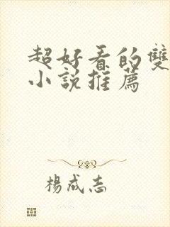 超好看的双男主小说推荐封面